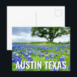 Beautiful Bluebonnets Austin Texas Photography Postcard<br><div class="desc">A beautiful photograph of Austin Texas bluebonnets in a field of nature makes a pretty postcard for a Texan who loves wildflowers. It's the state flower and brings great pride.</div>