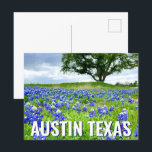 Beautiful Bluebonnets Austin Texas Photography Postcard<br><div class="desc">A beautiful photograph of Austin Texas bluebonnets in a field of nature makes a pretty postcard for a Texan who loves wildflowers. It's the state flower and brings great pride.</div>