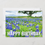 Beautiful Bluebonnets Photo Happy Birthday Card
