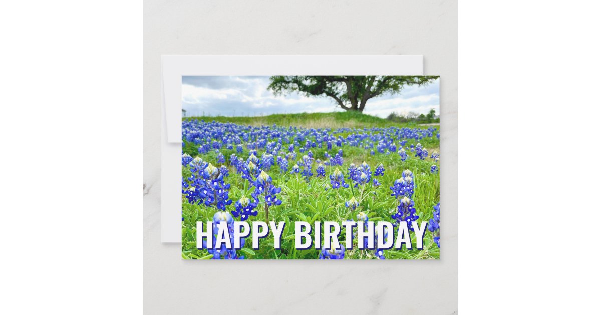 Beautiful Bluebonnets Photo Happy Birthday Card | Zazzle