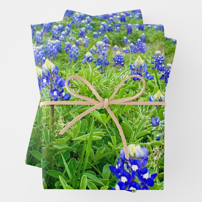 Beautiful Bluebonnets Texas Photography Wrapping Paper Sheets (In situ)