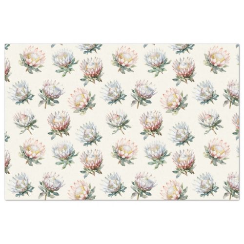 Beautiful blush white king protea flower pattern w tissue paper