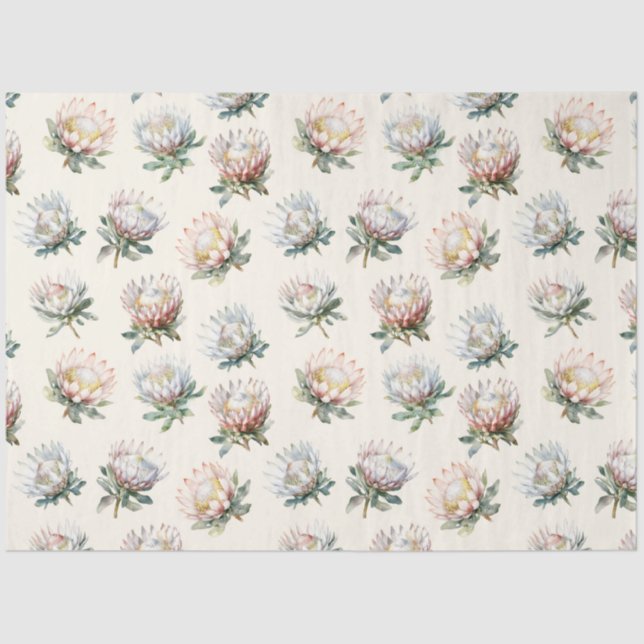 Beautiful blush white king protea flower pattern w tissue paper (Front)