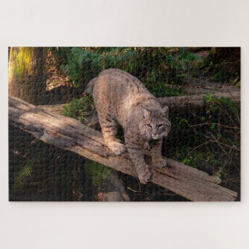 Beautiful Bobcat Challenging Wildlife Lover Jigsaw Puzzle