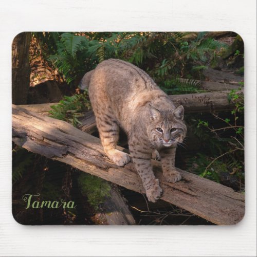 Beautiful Bobcat Wildlife Lover Custom Name Mouse Pad