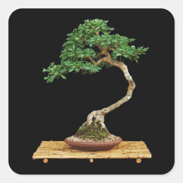 Beautiful Bonsai Tree Sticker Set (Front)