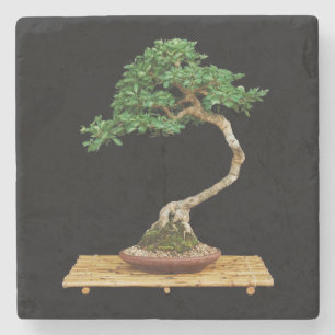 Beautiful Bonsai Tree Stone Coaster