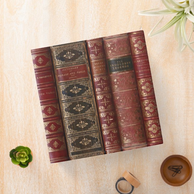 Beautiful Book Spines (Dictionary) 3 Ring Binder (In Situ)