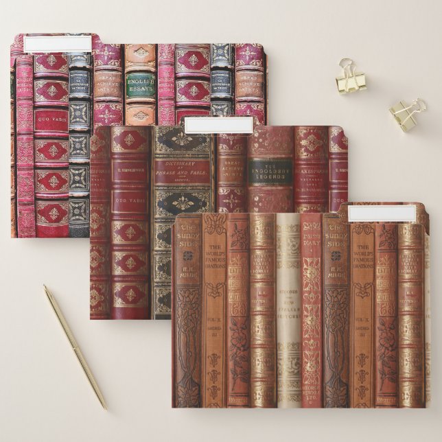 Beautiful Book Spines File Folder (Set)