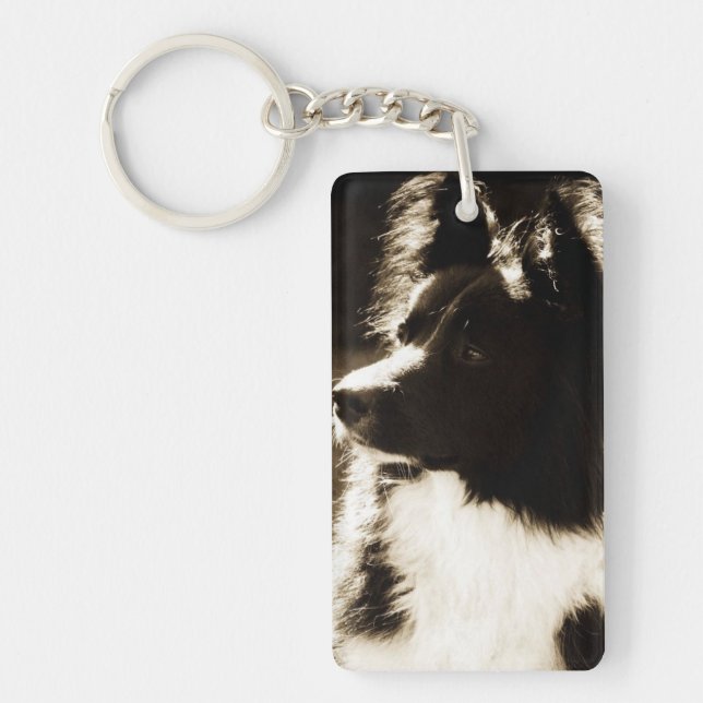 Beautiful Border Collie~ Keychain (Front)