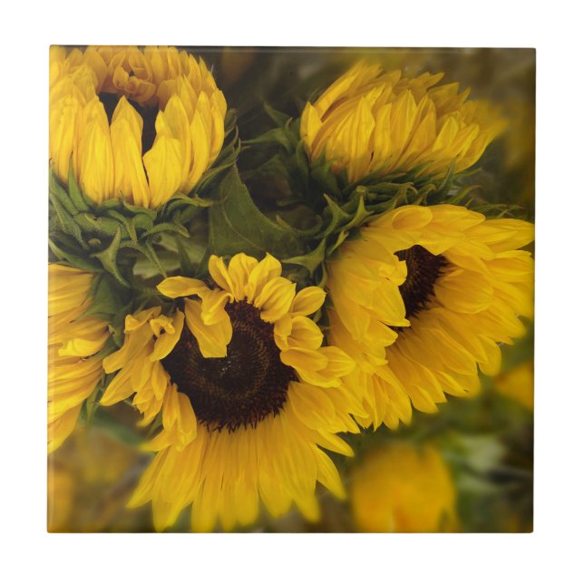 Beautiful Bouquet of Gold Sunflowers Ceramic Tile (Front)