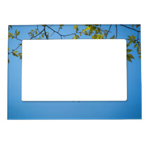 beautiful branch with green and yellow leaves hug magnetic frame