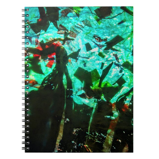 Beautiful bright blue Spiral Photo Notebook,Freesh Notebook (Front)