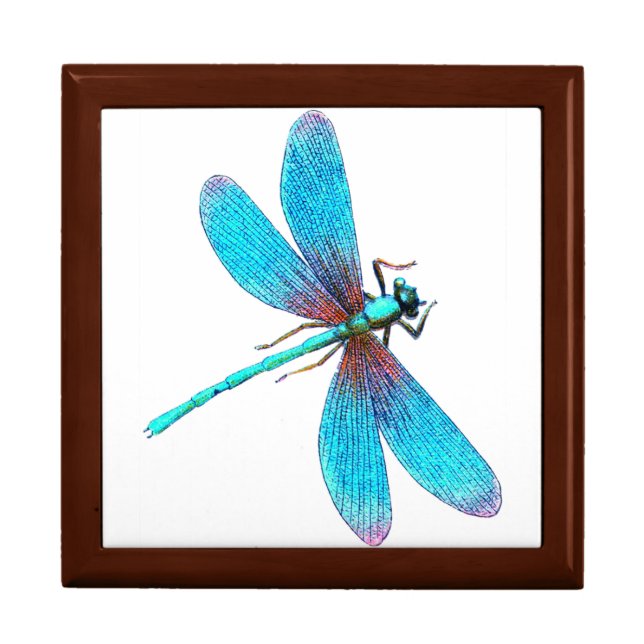 Beautiful Bright Blue Turquoise Dragonfly Gift Box (Front)