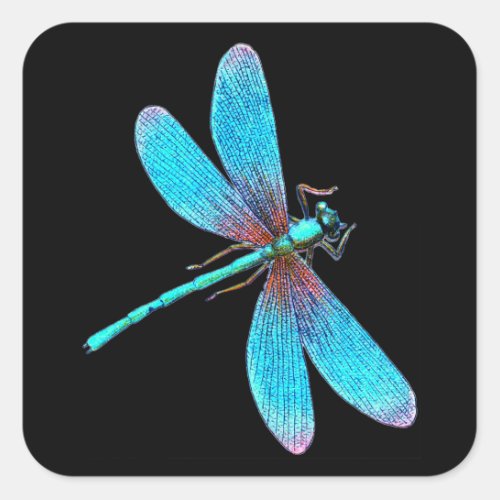 Beautiful Bright Blue Turquoise Dragonfly Square Sticker