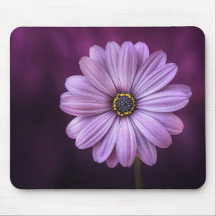 Beautiful, bright, elegant, pink-purple daisy mouse pad