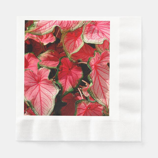 BEAUTIFUL BRIGHT-PINK CALADIUM PLANTS PAPER NAPKINS (Front)