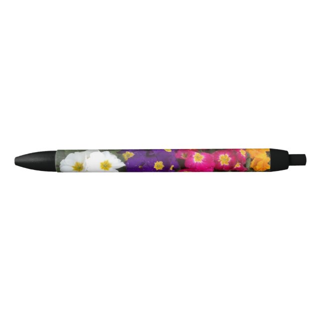 Beautiful Bright Polyanthus flowers  Pen (Front)