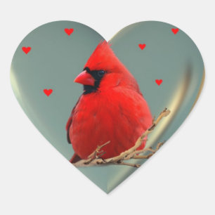 Beautiful Bright Red Cardinal, A sticker to deligh