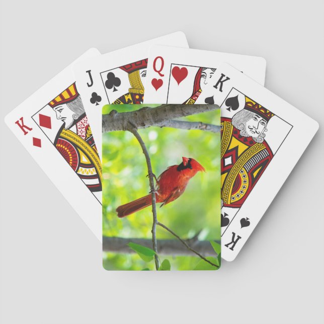 Beautiful Bright Red Cardinal in a Tree Poker Cards (Back)
