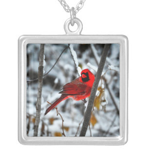 Beautiful Bright Red Cardinal in the Snow Silver Plated Necklace