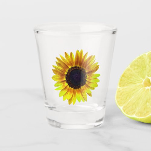 Beautiful Bright Yellow Sunflower _ Shot Glass