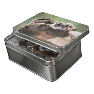 Beautiful Brindle Boxer Photo Jigsaw Puzzles