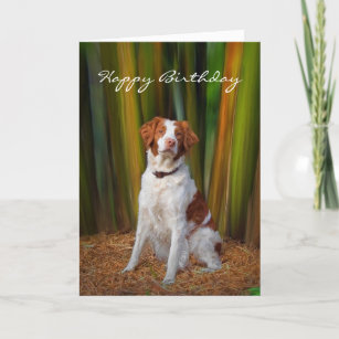 59 Happy Birthday Brittany Spaniel Gifts On Zazzle
