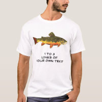 Beautiful Brook Trout Angler's FavoriteFly Fishing