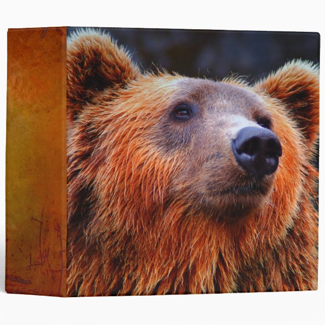 Beautiful Brown Bear Portrait Wildlife Photo 3 Ring Binder (Front/Spine)