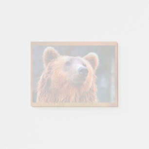 Beautiful Brown Bear Portrait Wildlife Photo Post-it Notes