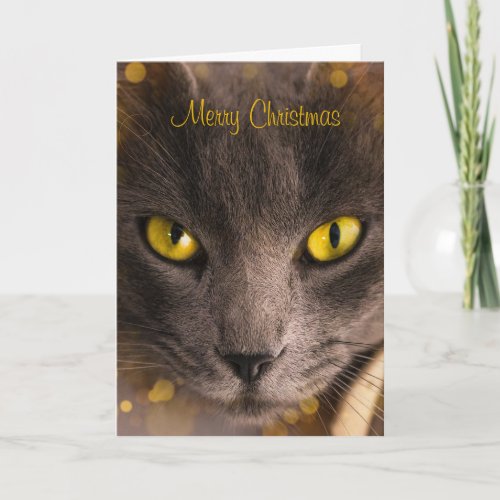 Beautiful Brown Cat with Gold Lights Christmas Card