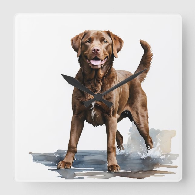 BEAUTIFUL BROWN CHESAPEAKE BAY RETRIEVER DOG SQUARE WALL CLOCK (Front)