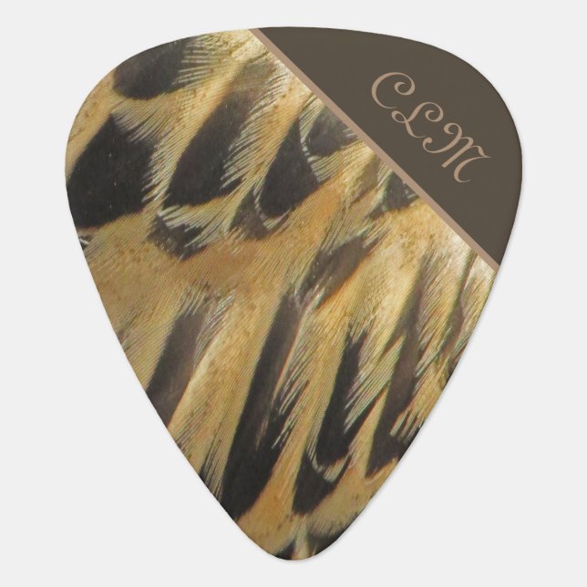 Beautiful Brown Duck Feather Pattern Photograph Guitar Pick (Front)