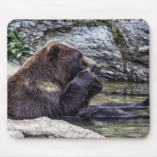 Beautiful Brown Grizzly Bear Mouse Pad (Front)
