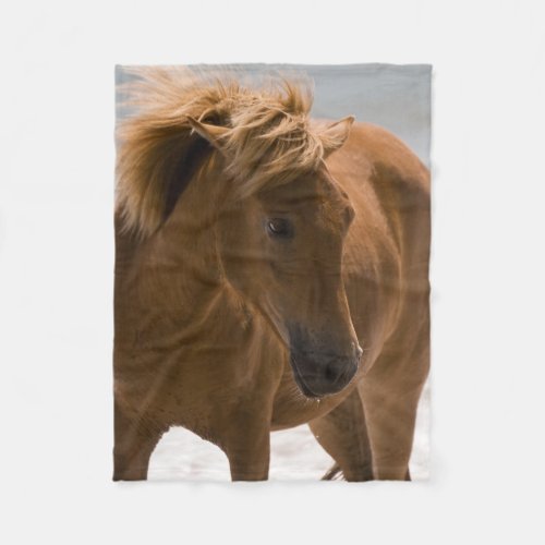 Beautiful Brown Horse Fleece Blanket