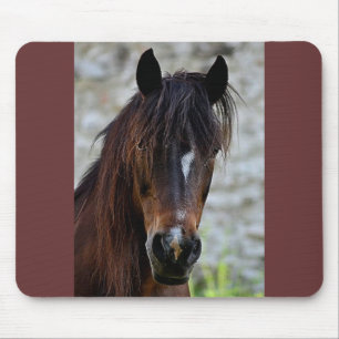 Beautiful Brown Horse Mouse Pad