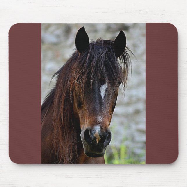 Beautiful Brown Horse Mouse Pad (Front)