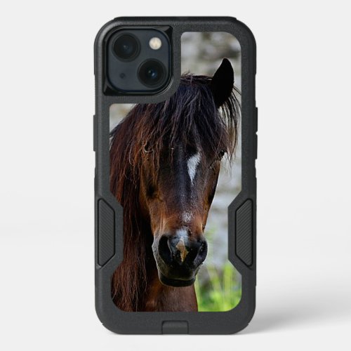 Beautiful Brown Horse iPhone 13 Case