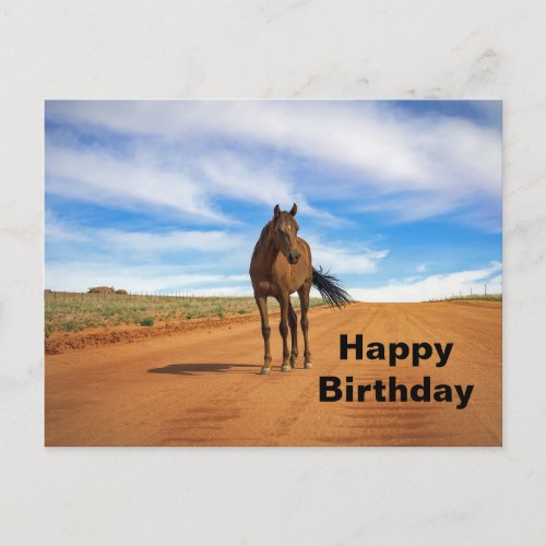 Beautiful Brown Horse Road Photo Birthday Postcard