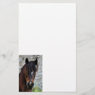 Beautiful Brown Horse Stationery