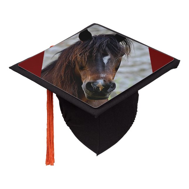 Beautiful Brown Horse Tassel Topper (Angled)