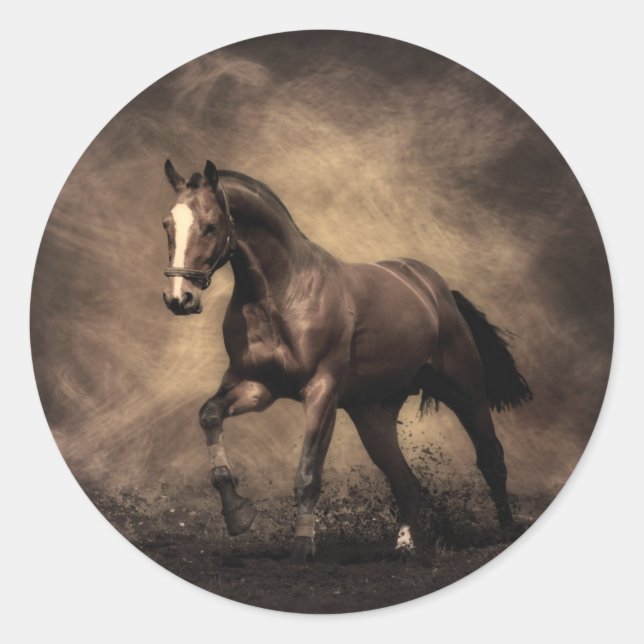 Beautiful brown horse throw pillow classic round sticker (Front)