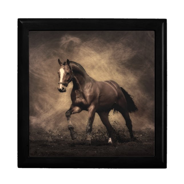 Beautiful brown horse throw pillow gift box (Front)