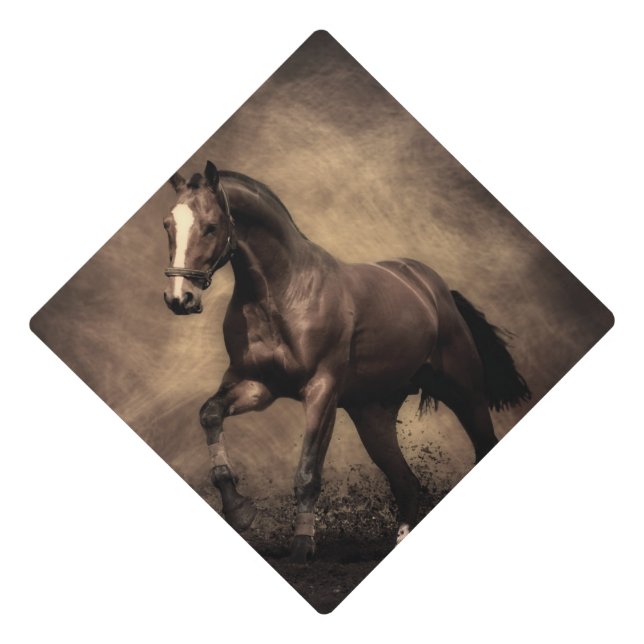 Beautiful brown horse throw pillow graduation cap topper (Front)