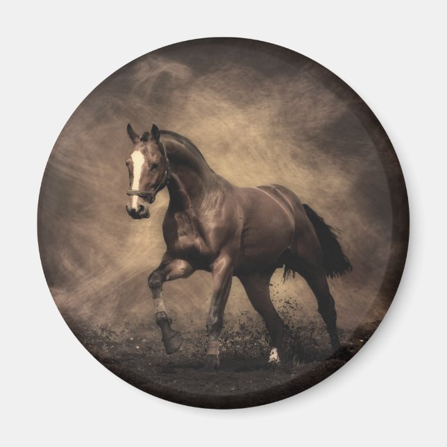 Beautiful brown horse throw pillow magnet (Front)