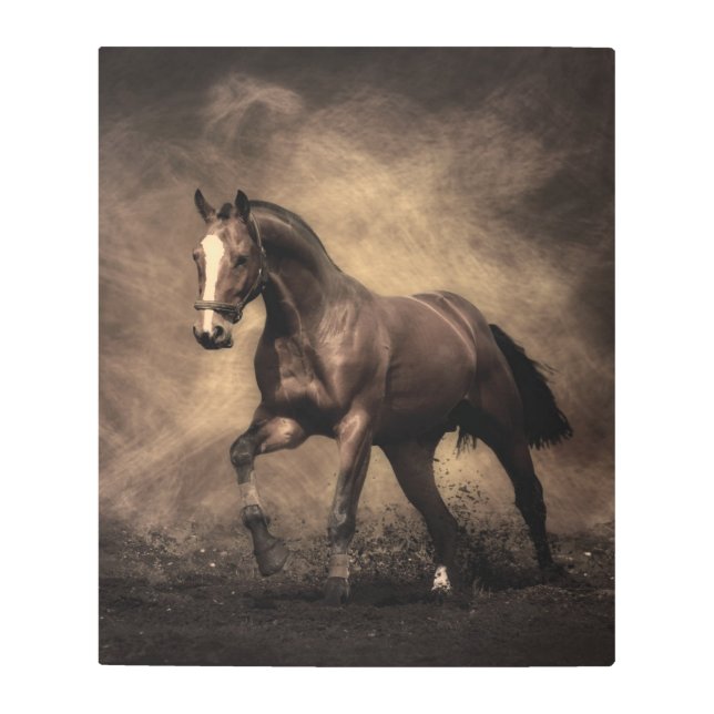 Beautiful brown horse throw pillow metal print (Front)