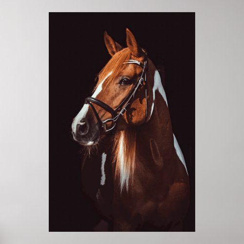 Beautiful Brown Paint Horse Portrait Photo Poster