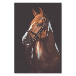 Beautiful Brown Paint Horse Portrait Photo Tissue Paper