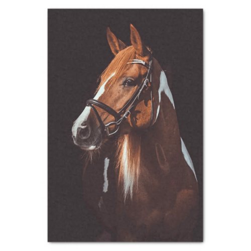 Beautiful Brown Paint Horse Portrait Photo Tissue Paper